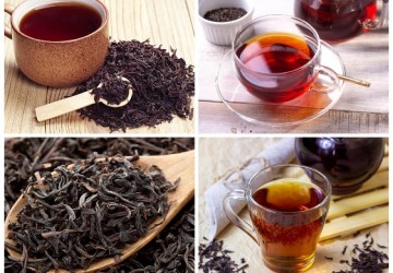 A Guide to Loose Leaf Tea Types, Preparation, Variety and More for US Tea Enthusiasts